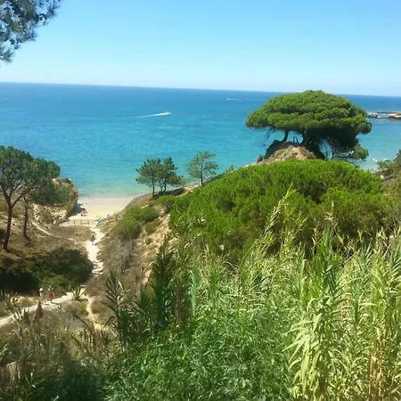 Magnifique Vue Mer Praia Do Vau Lejlighed